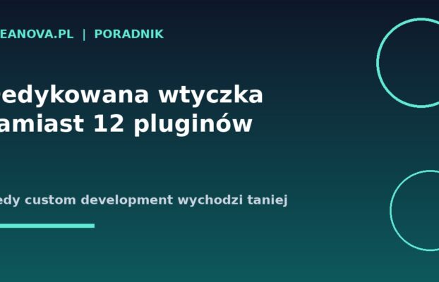 Dedykowana wtyczka zamiast 12 pluginów – kiedy custom development wychodzi taniej
