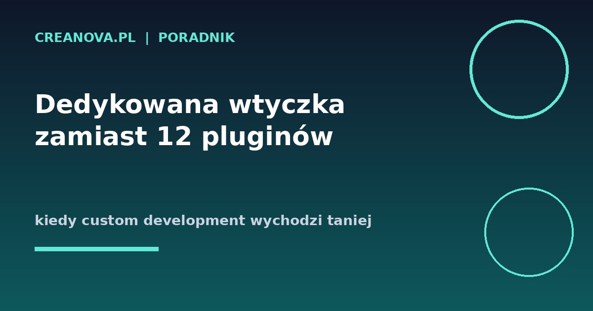 Dedykowana wtyczka zamiast 12 pluginów – kiedy custom development wychodzi taniej