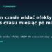 Po jakim czasie widać efekty SEO - oś czasu miesiąc po miesiącu